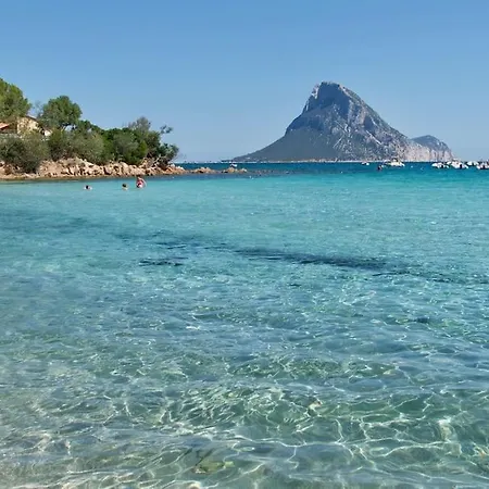 Free Parking 4 Minuti Dal Mare, Bbq Con Cortile Apartment *