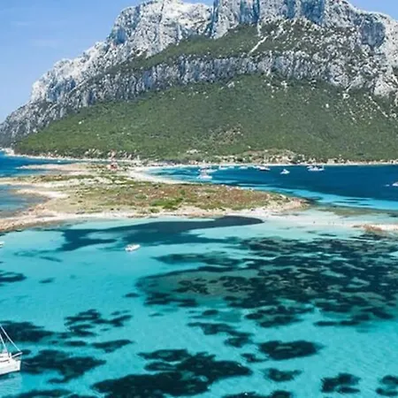 Apartment Free Parking 4 Minuti Dal Mare, Bbq Con Cortile *
